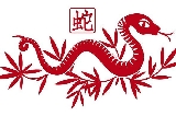 十二生肖中的蛇是第六個生肖，象征著智慧、神秘和靈性。